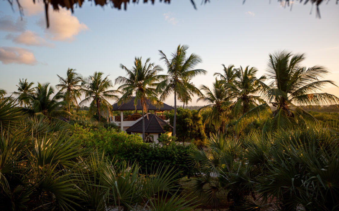 Sunset with clear skies, with palms and lush green vegetation, and one of the buildings visible among it